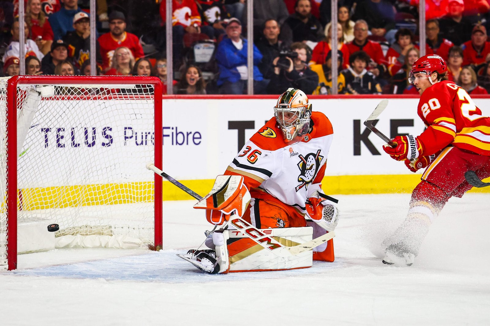 „Red Wings“ įgijo vartininką Johną Gibsoną iš „Ducks“